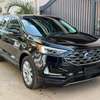 Ford Edge Titanium Anne 2020 thumb 8