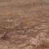 Terrain Yenne TF thumb 0