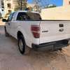 ford F150 thumb 1