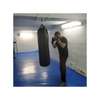 Everlast Gants de boxe Professionnel thumb 2