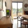 APT LUMINEUX MEUBLE PROCHE ECOLE FRANCAISE SALY thumb 0