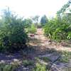 Ferme agricole à vendre à Darou koudoss thumb 2