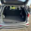 Hyundai santa fe evgt 2016 thumb 4