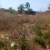 A VENDE TERRAIN CAP SKIRRING  800m2 thumb 6