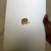 MacBook Air M4 2025 thumb 0