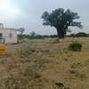 21 hectares à vendre à sindia entre Nguekhokh et Ngerigne thumb 12