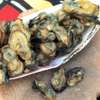 YOKHOSS DE PALMARIN EN SACHET thumb 0