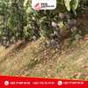 Terrain à arbres fruitiers à vendre à Sindia thumb 3