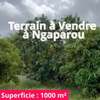 Terrain à vendre à Ngaparou thumb 2