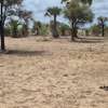 Terrains jumelés 627m2 lagune de Ndagane Campement thumb 2