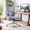 Chaise bureau ergonomique gris clair appui-tête thumb 0