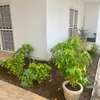 3 VILLAS DE GRAND STANDING R+2 A LOUER thumb 4