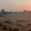 Terrain agricole a vendre thumb 3