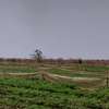 Parcelle de 18 hectares à vendre entre Thiès et Sindia thumb 10
