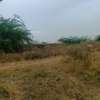 21 hectares à vendre à sindia entre Nguekhokh et Ngerigne thumb 2