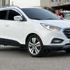 Hyundai Tucson EVGT thumb 10
