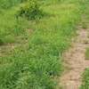 Terrain d’angle agricole ou habitation thumb 2