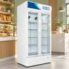 REFRIGERATEUR SOLSTAR VERTICAL 2PORTES VITRINE VO9000 thumb 2