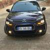 citroen c4-cactus 2019 thumb 13