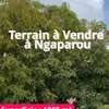 Terrain à vendre à Ngaparou thumb 0