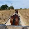 Ecolodge de Simal thumb 2