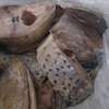 10 kg seud TG, sompate TG, beurre TG, todjé, thumb 3