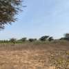 Lots de terrains de 500m2 à vendre pour usage agricole thumb 0