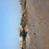 Terrain Almadie Boa thumb 9