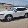 Cx9 2018 thumb 3