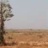 Bambilor 90 hectares de terrain en titre foncier individuel thumb 11