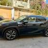 LEXUS ux250h, 2019 Hybride thumb 5