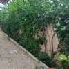 VILLA À VENDRE À LA SOMONE thumb 11