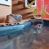 Mini maison en carton avec piscine thumb 2
