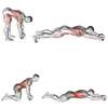 Roue abdominale pour exercices de remise en forme thumb 7