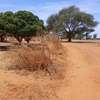Terrains de 7 590 m² dans la zone horticole de Tassette thumb 3