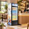 REFRIGERATEUR 260LITRES ROCH VERTICAL 1 PORTE VITRINE thumb 2