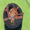 Bombe ou casque d’equitation velour noire thumb 5