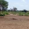 Terrain Agricole de 21,05 Hectares vers Thiénaba – Thiès thumb 2