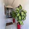 Appartement de 3 chambres et salon aux Almadies thumb 7