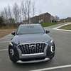 Hyundai Palisade thumb 1