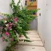 Location Villa 4 chambres salon Cité cheikh Amar Mamelles thumb 9
