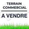 Magnifique Terrain commercial au mamel thumb 0