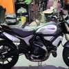 A vendre Ducati scrambler 1100 thumb 0
