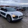 C4 Cactus thumb 8