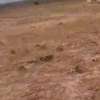 Terrain Yenne/Ndoukhoura Peulh thumb 2