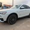 BMW X4 2017 thumb 1