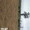 Terrain agricole Tainango grande superficie plate thumb 0