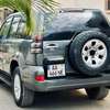 Land Cruiser parada thumb 11