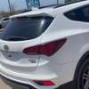 2017 Hyundai santa fe thumb 6