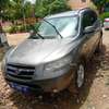 Hyundai Santa Fe SUV 2010 thumb 0